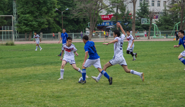 年对于卡瓦 年对于卡瓦